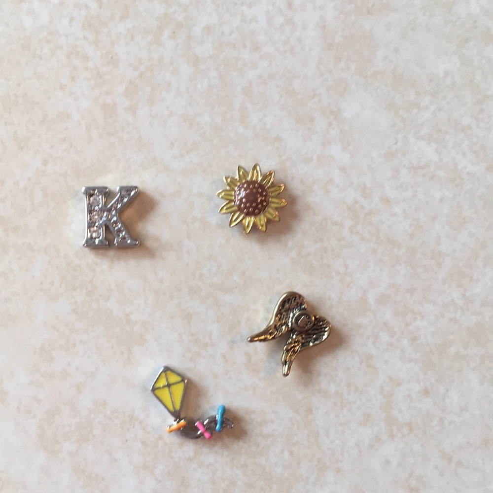 Origami Owl Charms, 2014